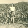 Marco au Palyvestre dans le Var 1956
